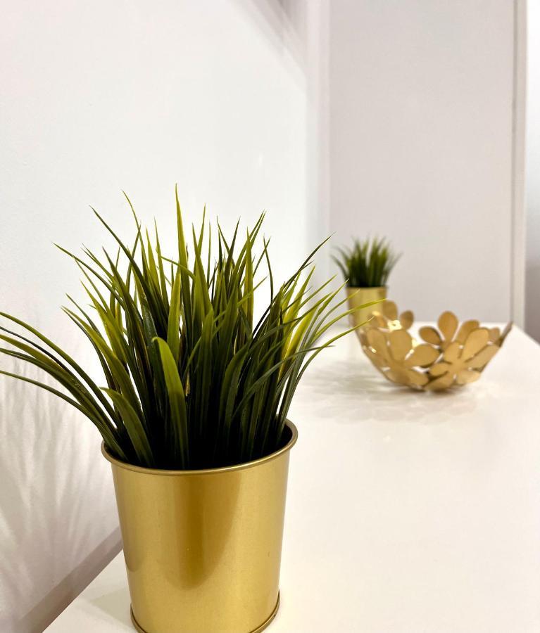 Apartmán Maximilian Dreams 2 Madrid Exteriér fotografie